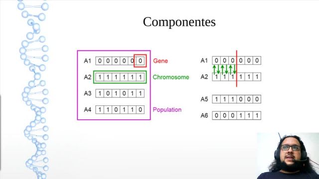 2020S2 IC3002 S10CA Genéticos